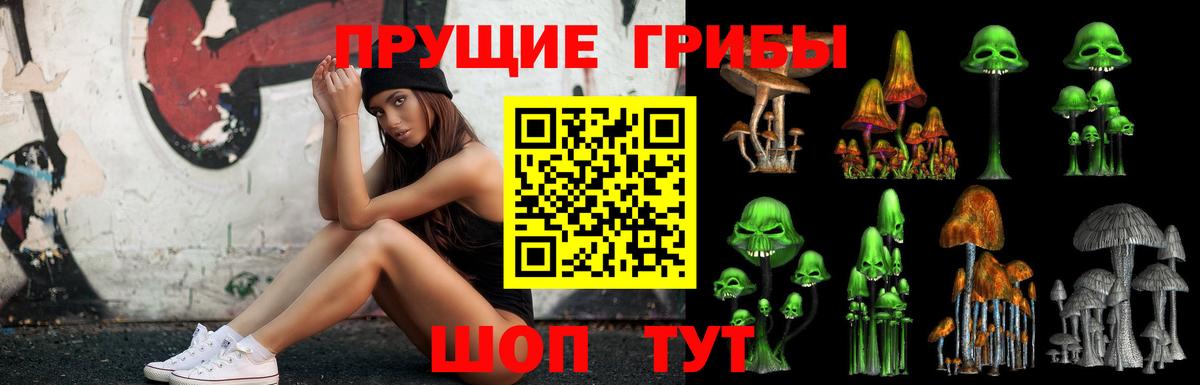 Галлюциногенные грибы GOLDEN TEACHER  Псилоцибиновые грибы Cubensis  Амурск  Вход с VPN 
